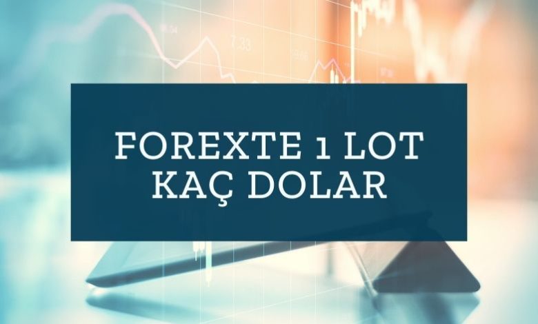 Forexte 1 Lot Kaç Dolar